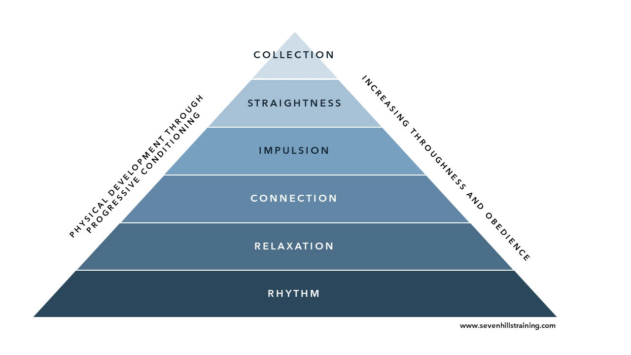 Classical dressage training pyramid