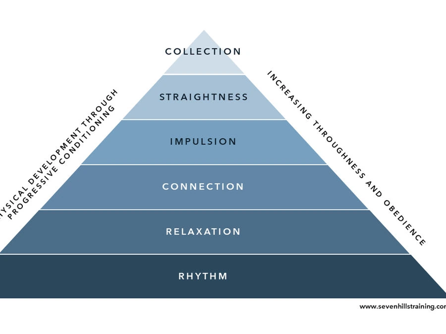 Classical dressage training pyramid