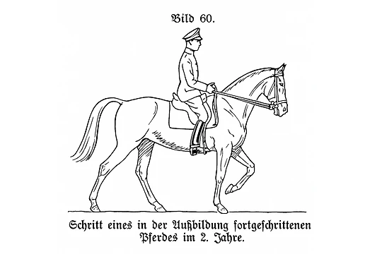 H.Dv. 12 illustration of a trained horse at walk