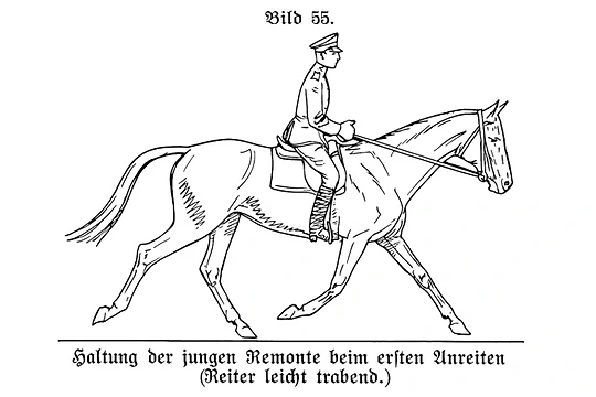 H.Dv. 12 illustration of a young horse working at trot