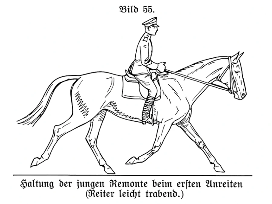 H.Dv. 12 illustration of a young horse working at trot