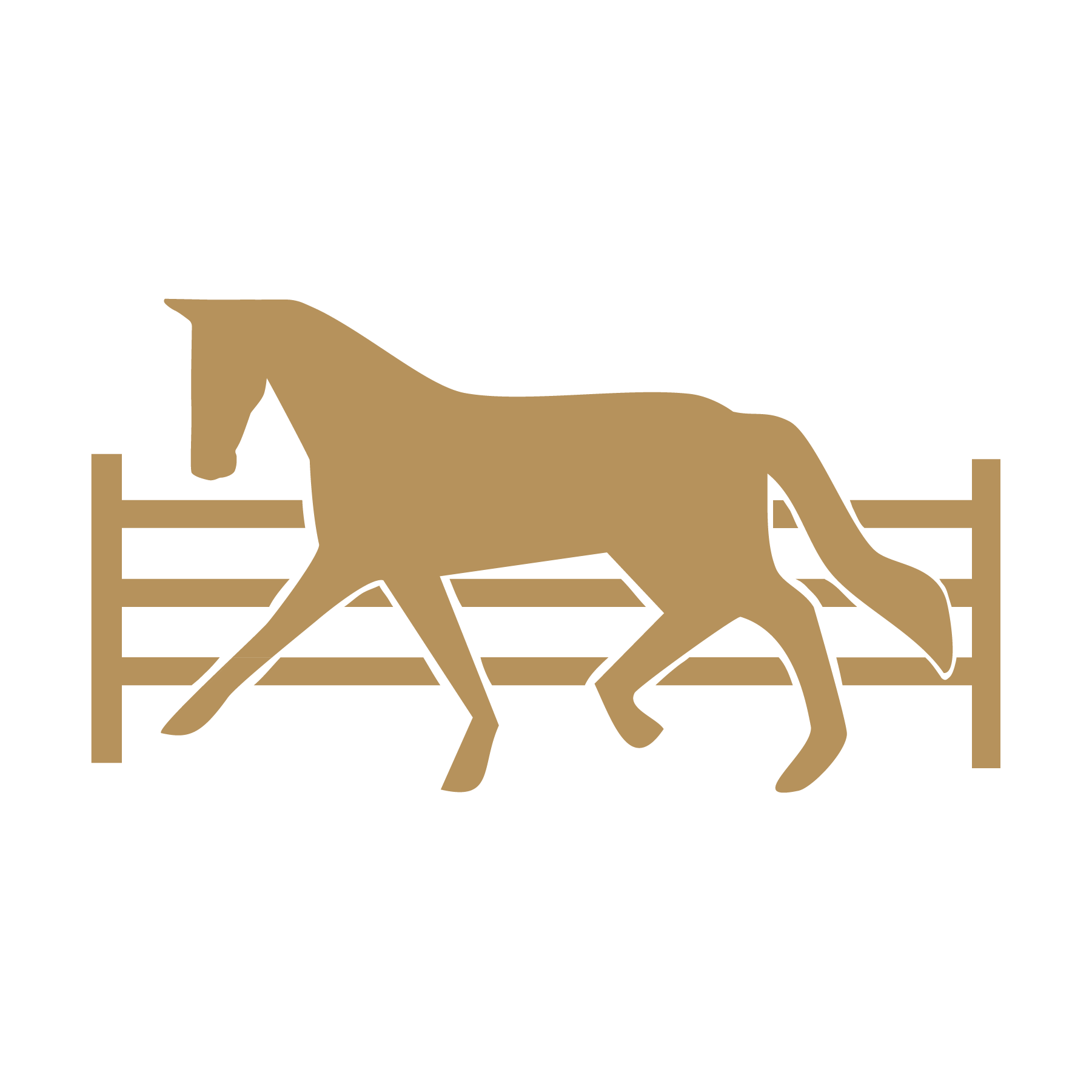 Horse turnout paddock
