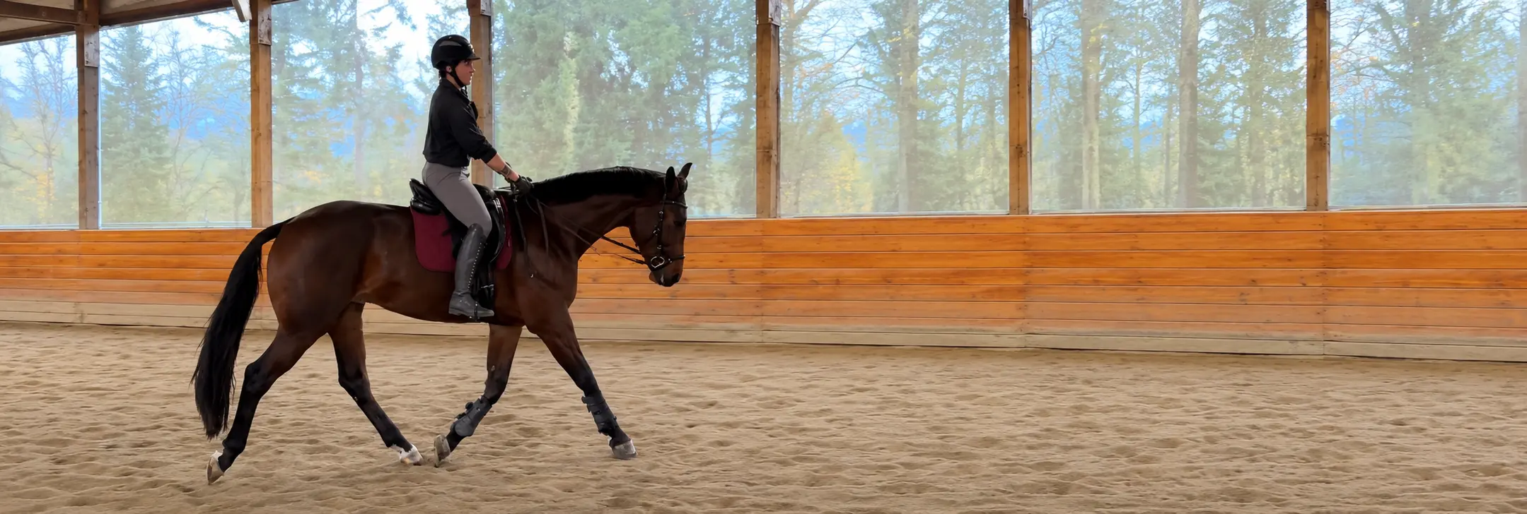 Horse and rider developing balance and straightness during a dressage lesson