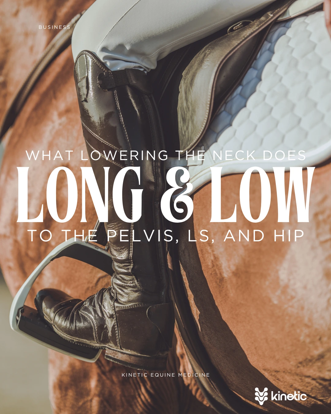 Long and low article illustration showing a rider’s boot and stirrup beside a chestnut horse