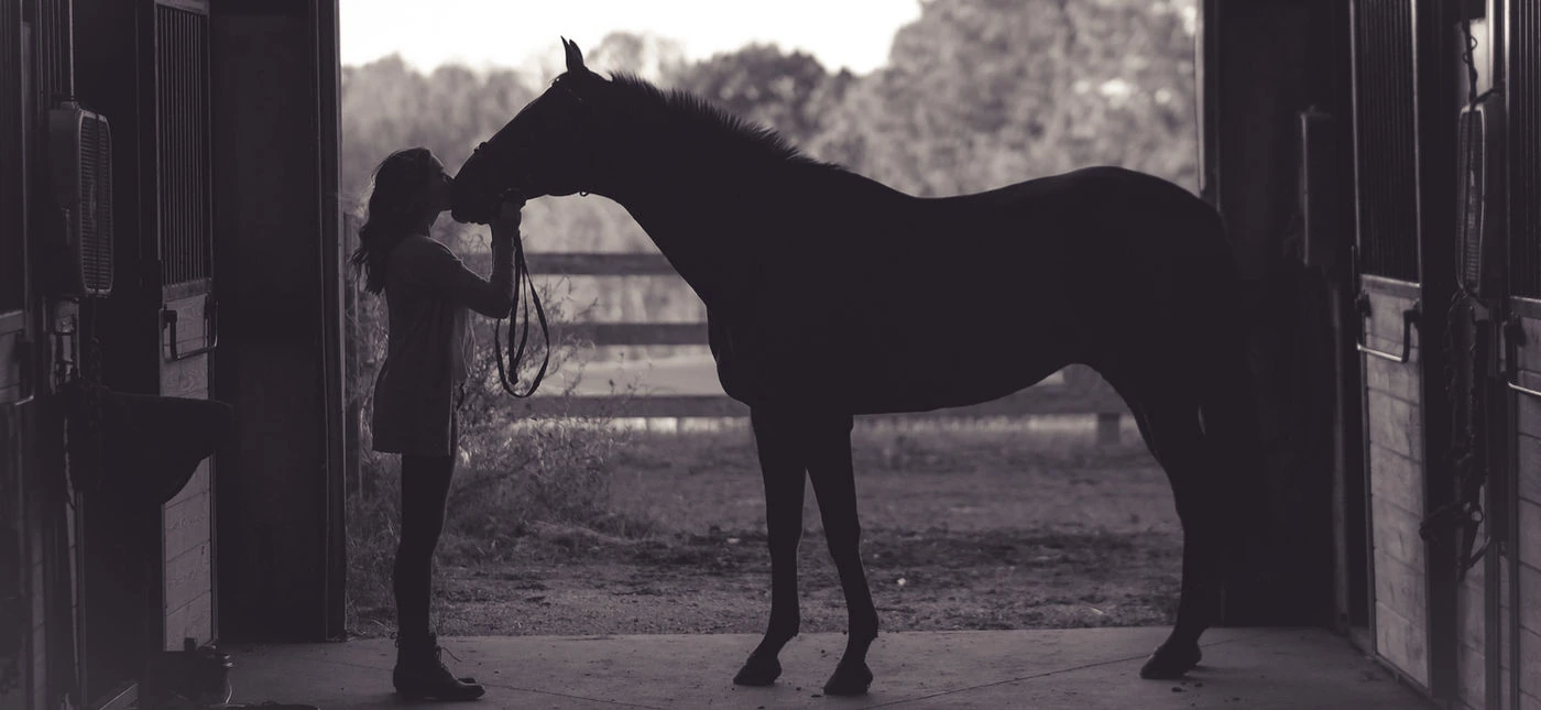 Rider standing beside a horse in a barn doorway