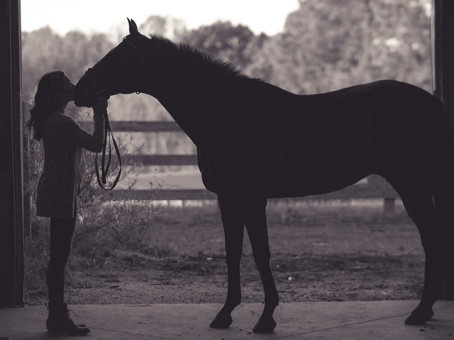 Rider standing beside a horse in a barn doorway