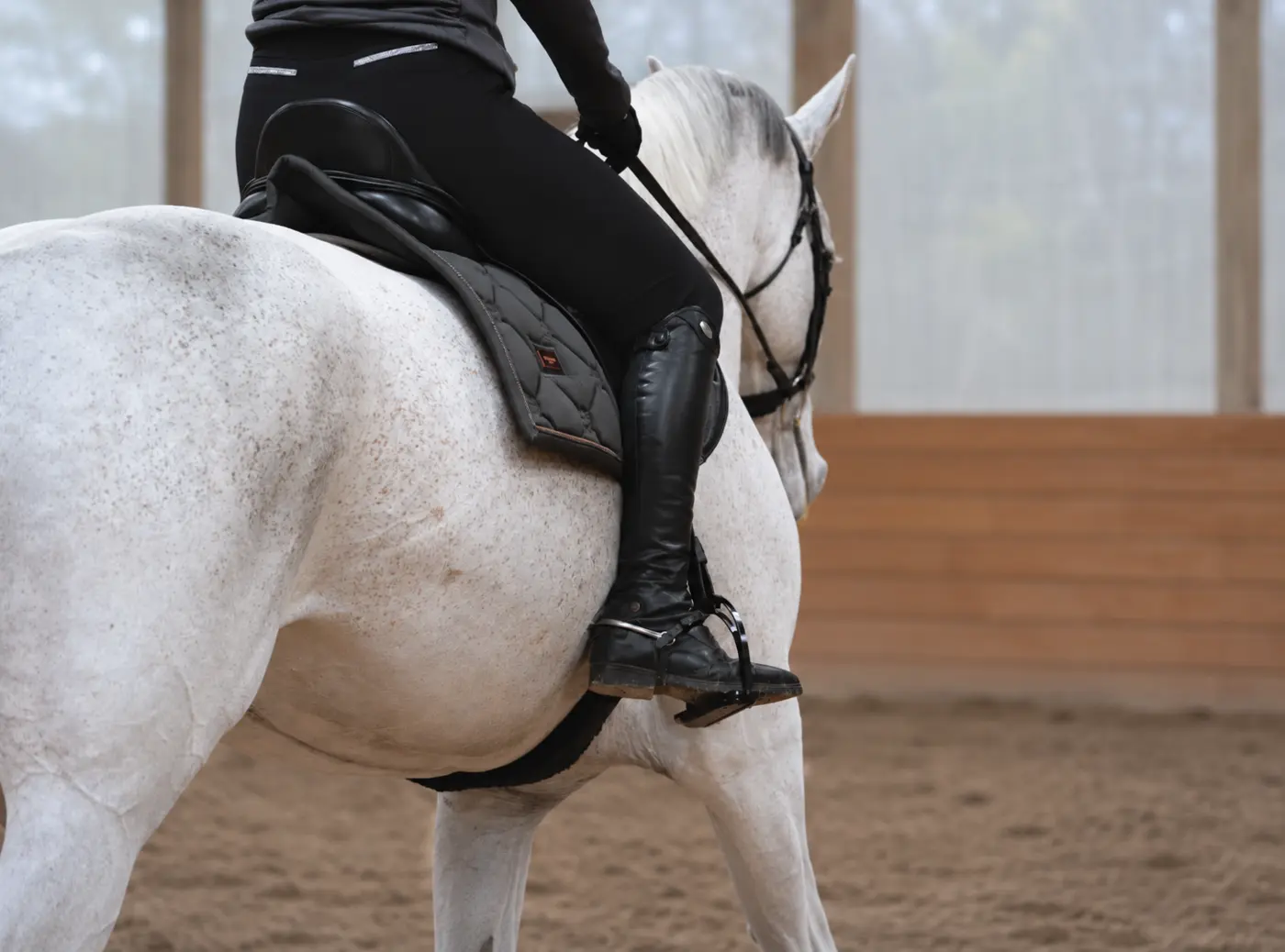 Dressage rider schooling a gray horse on a 20-meter circle