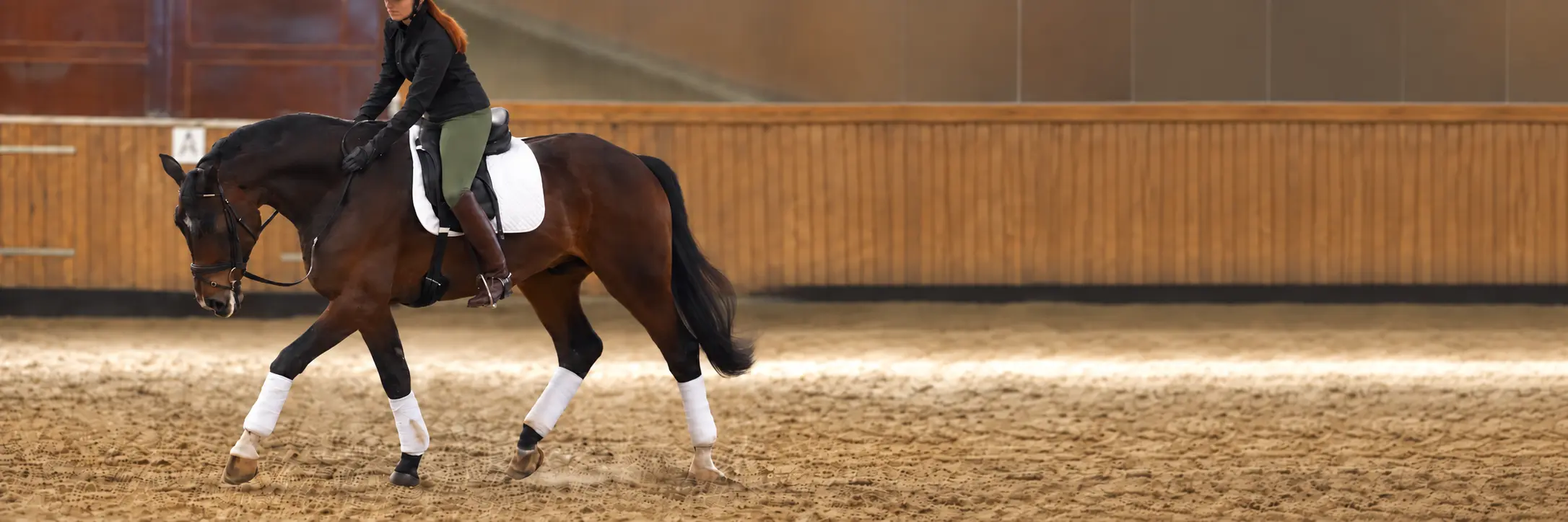 Dressage horse and rider demonstrating relaxed, balanced gymnastic development